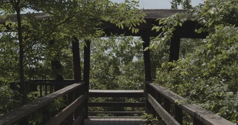 Bridge to a Forest Nature Viewing Station Stock Footage 153297871