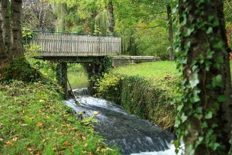 Bridge in forest Stock Photos