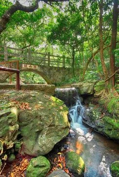 Bridge in the forest Foto stock