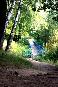 Bridge in the forest 스톡 사진