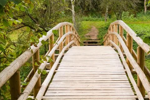 Bridge in the forest Stock Photos