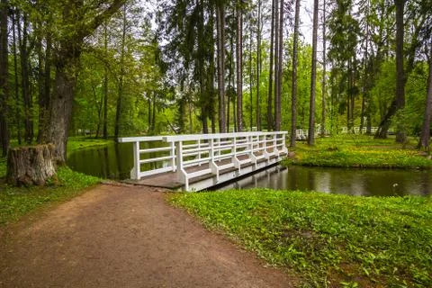 Bridge in the forest Stock Photos