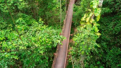 Bridge in forest Stock Photos