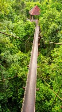 Bridge in forest Stock Photos