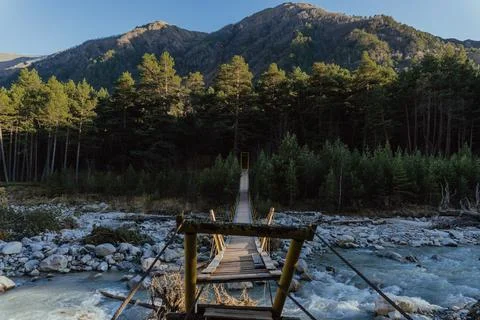 Bridge to the forest. Stock Photos
