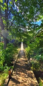 Bridge in the forest Stock Photos