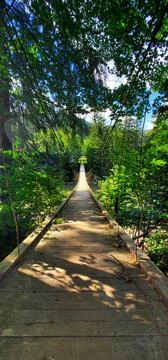Bridge in the forest Stock Photos