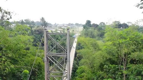 Bridge in the forest Stock Photos