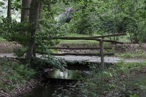 Bridge in forest Stock Photos