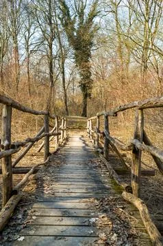 Bridge to the Forest Stock Photos