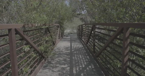 Bridge in forest ronin 4d Video stock 179159276