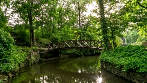 Bridge in forest timelapse in Sofiyivsky Park, Uman 動画素材 72154455