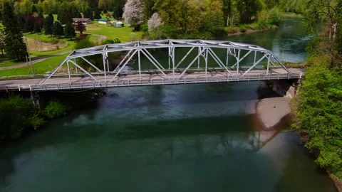 The Bridge to the Forrest Video stock 160007407