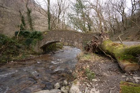 Bridge in the forrest Stock Photos