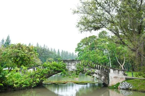 A bridge in the garden Stock Photos