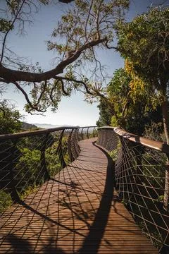 Bridge into a garden Stock Photos