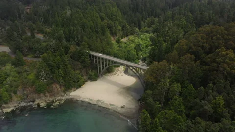 Bridge going over a sandy beach in a lush green forest on the coast Stock Footage 152887568