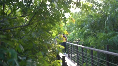 The bridge is in the green forest. 스톡 동영상 157368961