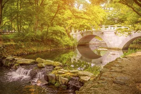 The bridge in the green park. Stock Photos