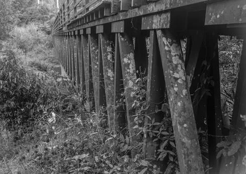 Bridge grim black Stock Photos