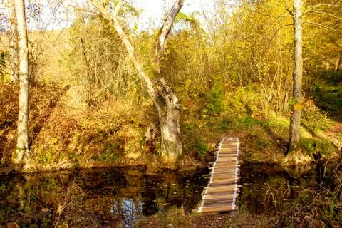 Bridge on Grza river Stock Photos