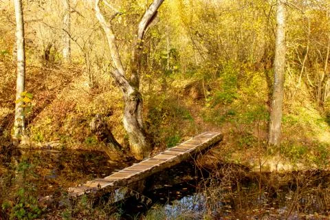 Bridge on Grza river Stock Photos