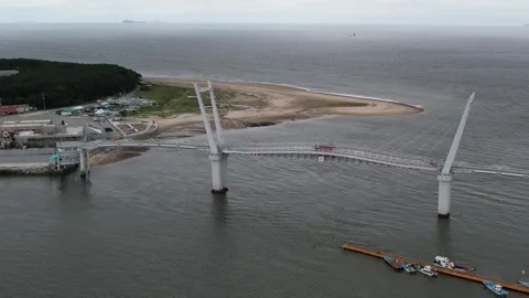 Bridge in the harbor, bridge in the liver 스톡 동영상 310919702