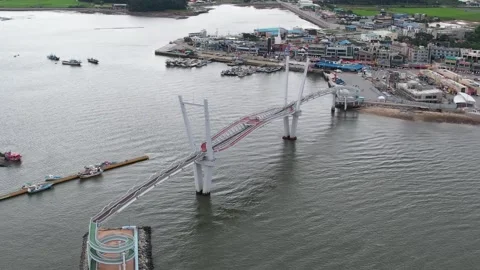 Bridge in the harbor, bridge in the liver 스톡 동영상 310919722