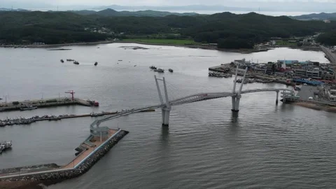 Bridge in the harbor, bridge in the liver 스톡 동영상 310919736