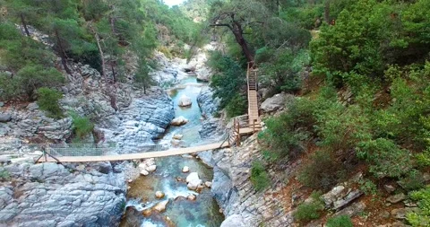 A Bridge inside Forest on the River Stock Footage 148347756