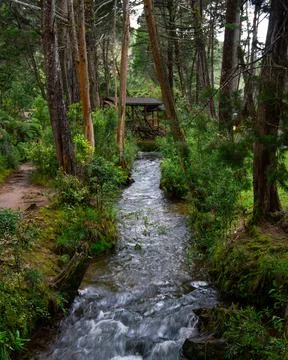 Bridge intersecting a river inside of a national park in colombia Foto stock