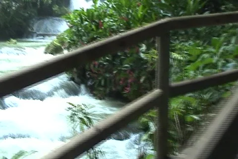 Bridge in Jamaica 03 Stock Footage 313636