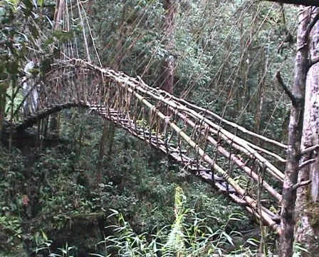 Bridge in jungle Stock Footage 378045