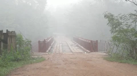 Bridge in the Jungle mist Video stock 11142261