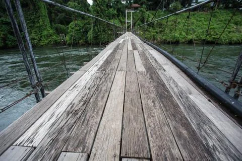 Bridge to the jungle Stock Photos