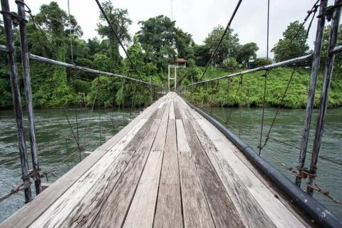 Bridge to the jungle Stock Photos