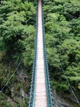 Bridge to the Jungle Stock Photos