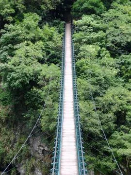 Bridge to the Jungle Stock Photos