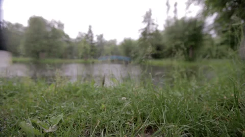 The bridge at the lake 1 Stock Footage 32476302