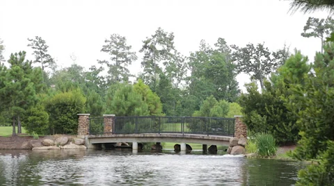 Bridge On Lake 2 Stock Footage 39932266