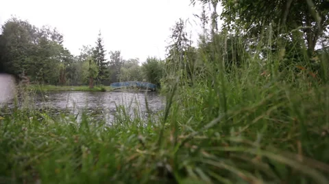 The bridge at the lake 3 Vídeo Stock 32476516