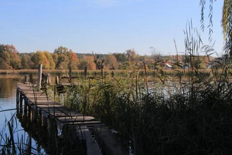 Bridge on the lake. in the fall. Stock Photos