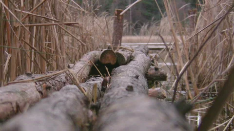 Bridge on lake. Stock Footage 289676