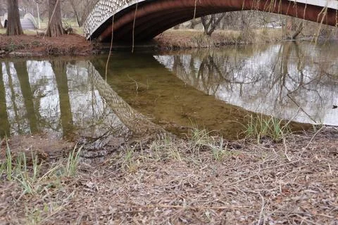 Bridge, Lake, Willow Tree Trunk, Nature, Outdoors Stock Photos