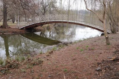 Bridge, Lake, Willow Tree Trunk, Nature, Outdoors Stock Photos