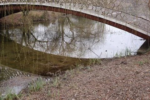 Bridge, Lake, Willow Tree Trunk, Nature, Outdoors Stock Photos