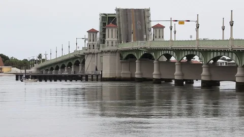 Bridge of Lions Stock Footage 94866084