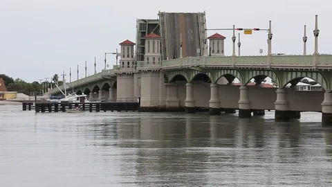 Bridge of Lions Stock Footage 94866274