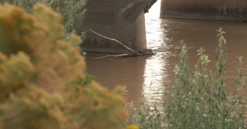 Bridge low water Vídeos de archivo 57119901