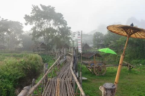 The bridge is made of bamboo. Stock Photos